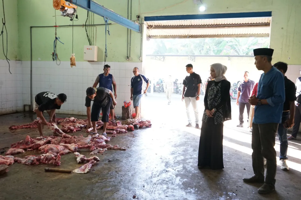 Wali Kota Kediri Tinjau RPH, Ditemukan 2 Sapi Terkena Penyakit Cacing Hati