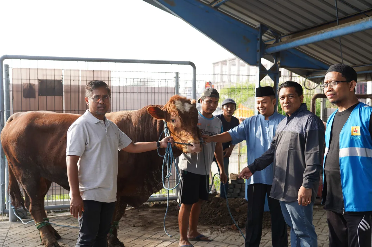 Semarakkan Perayaan Idul Adha 1446 H, PLN UIT JBM Berbagi Daging Kurban ke Masyarakat