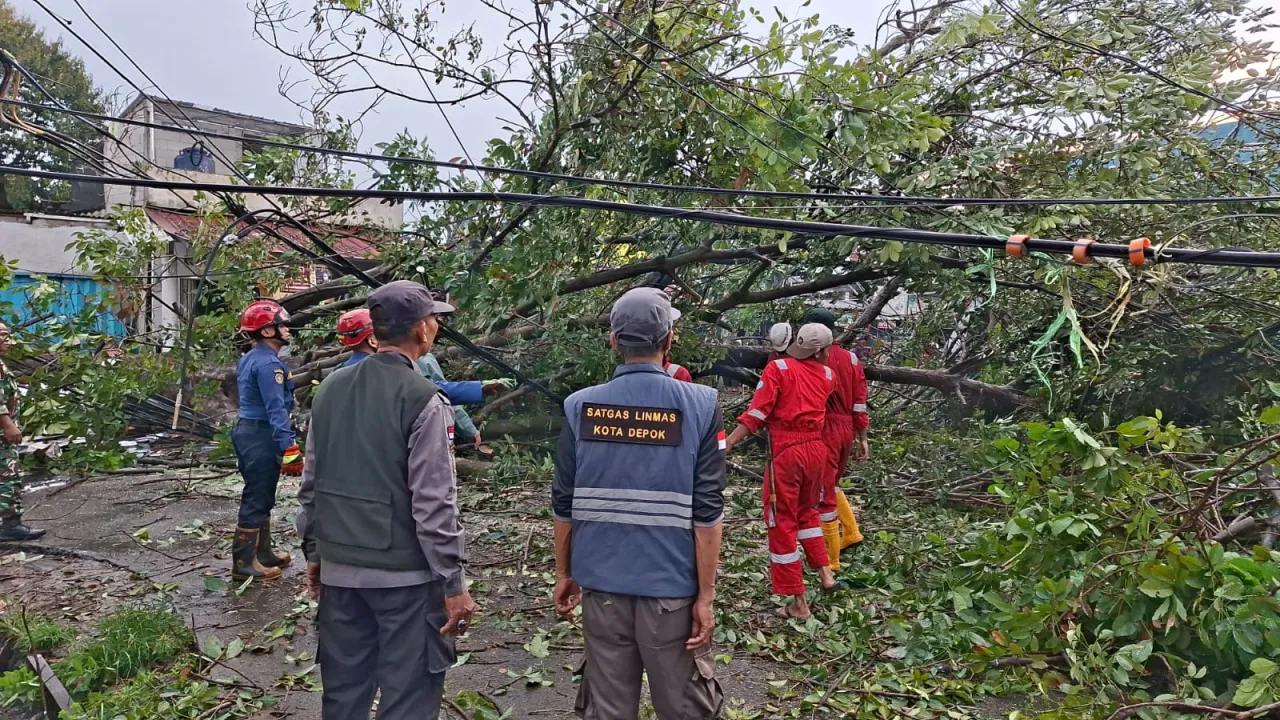 Hujan Angin Hantam Tanah Baru Depok, Pohon Besar Tumbang Timpa Ruko dan Gerobak Pedagang