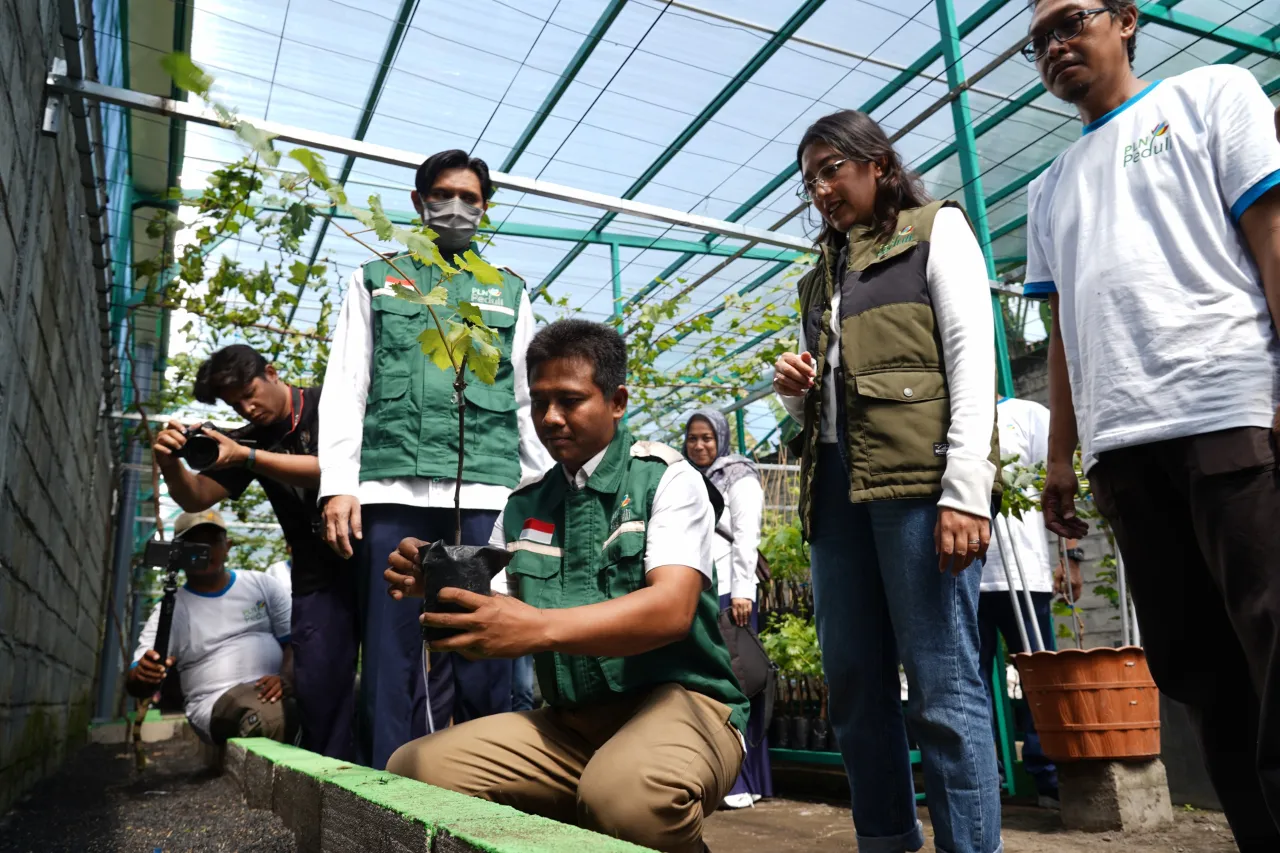 PLN UIT JBM Dukung Pengembangan Agroeduwisata Smart Farming Anggur