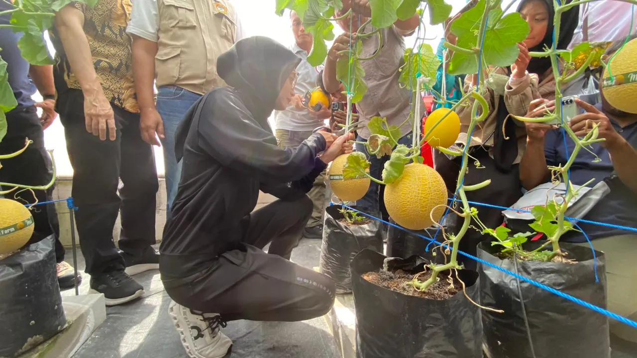 Gensobo Farm, Upaya Gali Potensi Gen Z Kota Kediri