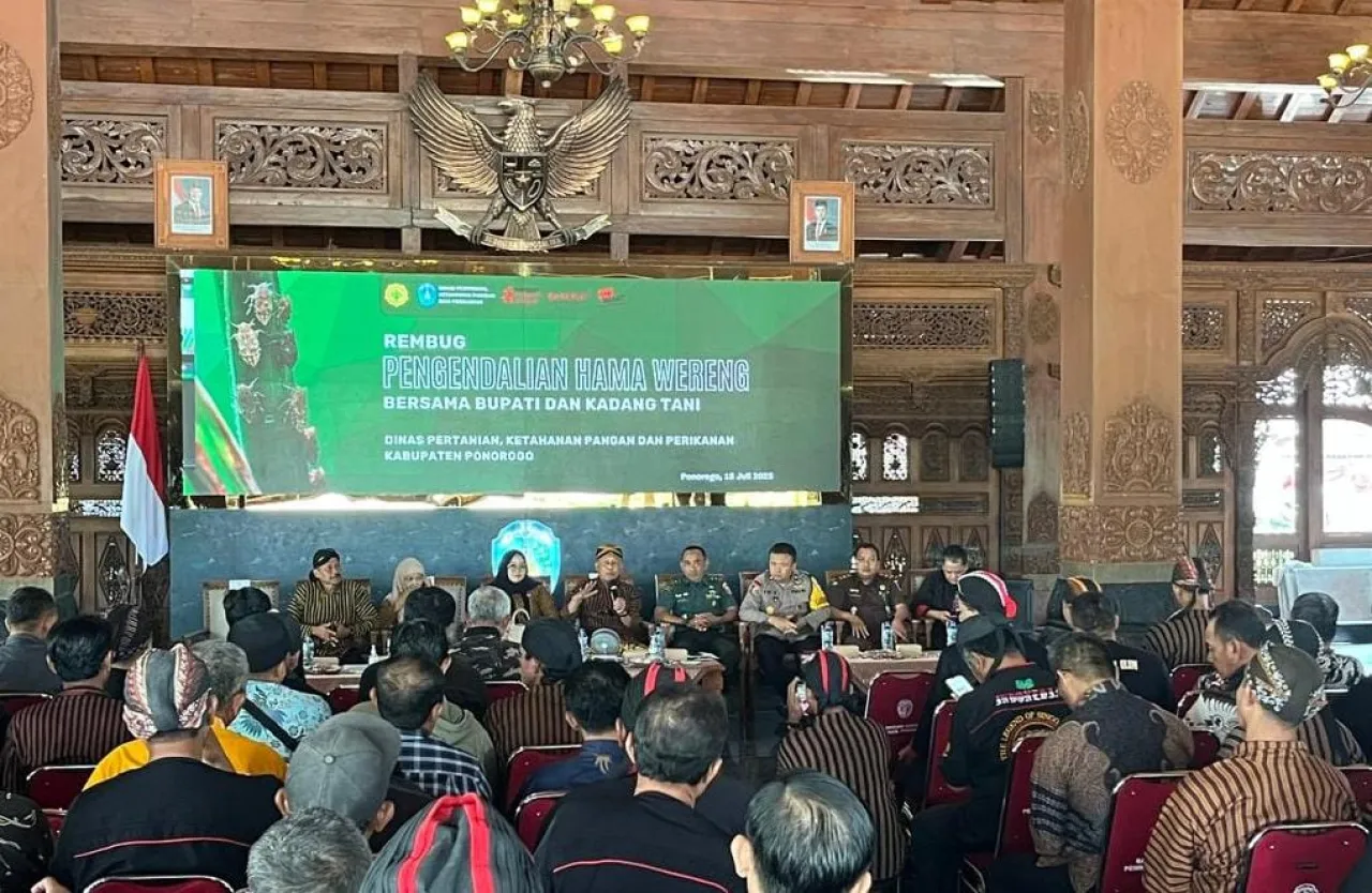 Hama Wereng Menggila, Bupati Ponorogo Kumpulkan Petani, Ini Solusinya