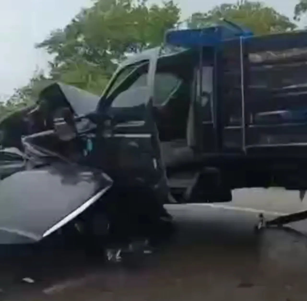Truk Tabrak Mobil, 3 Orang dan 1 Anjing Tewas