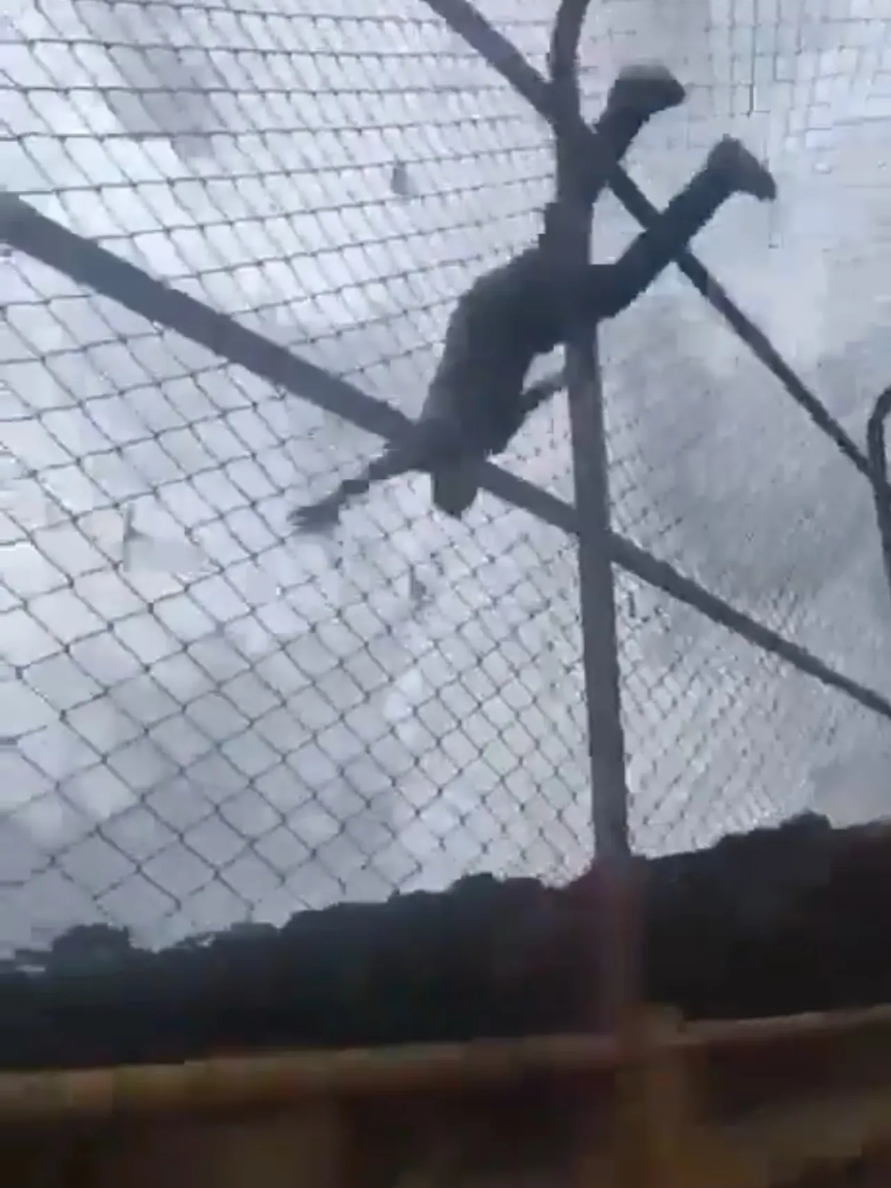 Seorang Pemuda Melompat di Jembatan Galán, Ini yang Terjadi