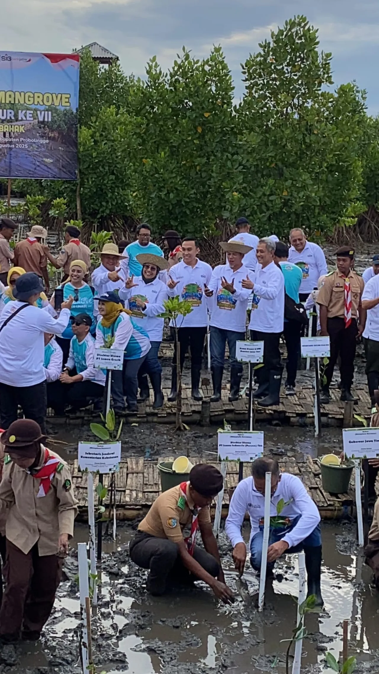 Ikuti Festival Mangrove Jatim VII, Wabup Lamongan Tekankan Aktif Merawat Area Mangrove