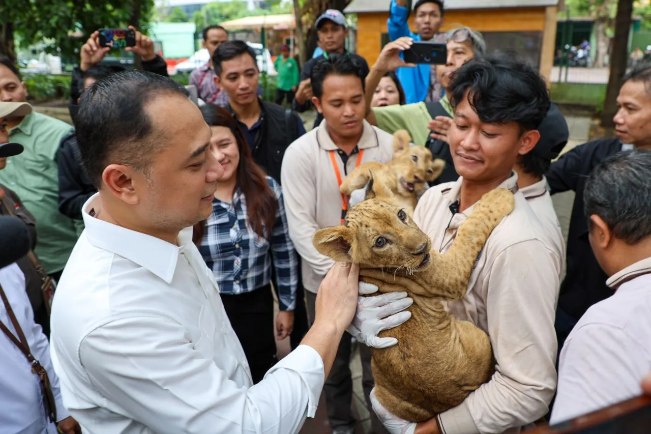 Wali Kota Eri Dorong Inovasi dan Wahana Baru di Kebun Binatang Surabaya