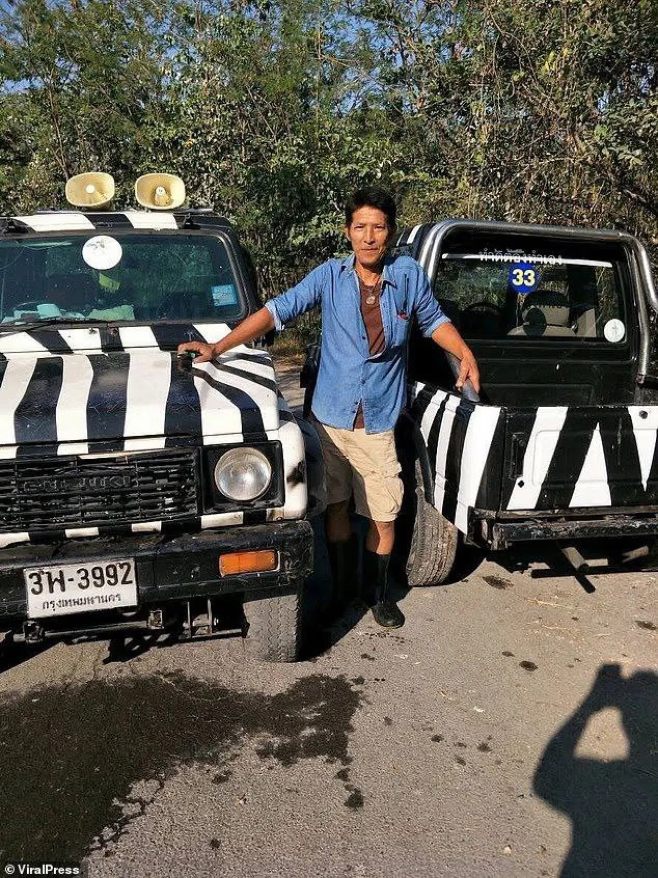 Tujuh Singa Makan Penjaga Taman Safari
