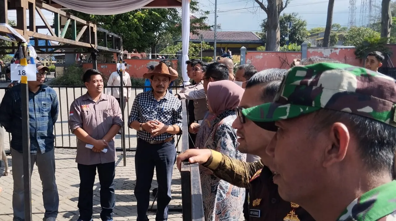 Kontes Kambing dan Domba se-Jatim, Penilaianya Dititikberatkan Kesehatan dan Performa