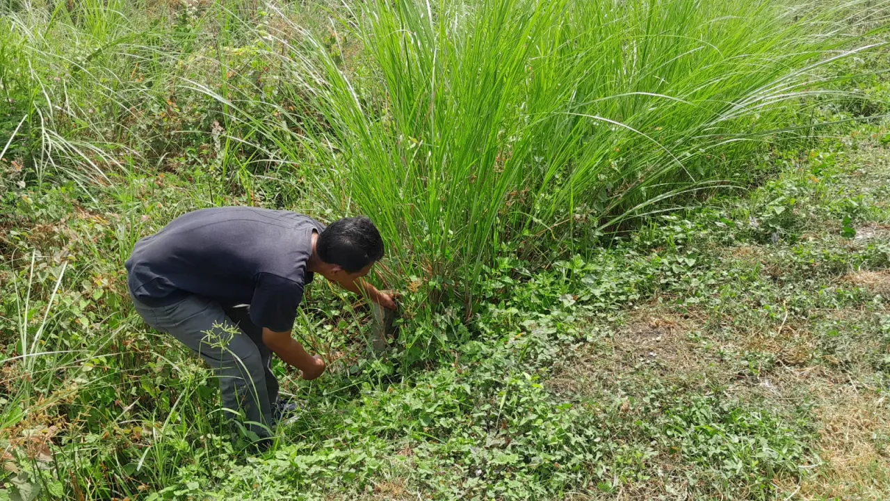 Polres Madiun Kota Tangani Dugaan Pengurukan Sawah di Patihan, Dengan Periksa Pelapor