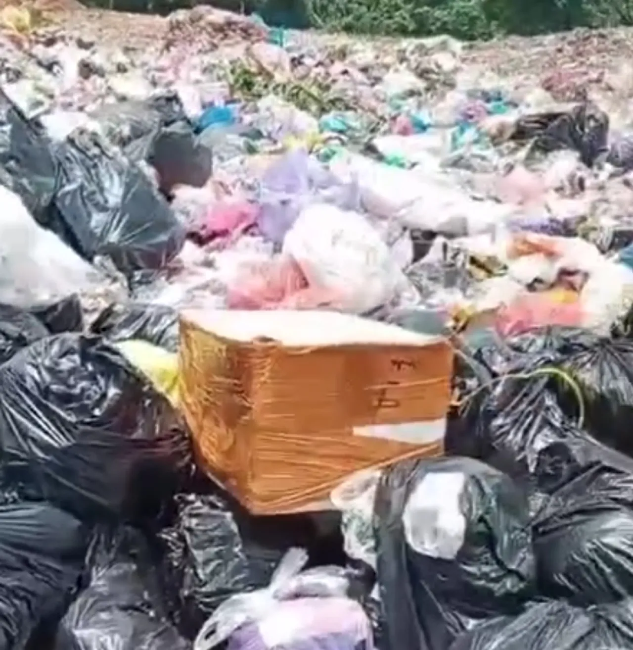 Jasad Bayi Penuh Lebam Ditemukan di TPA Batu Merah Balangan