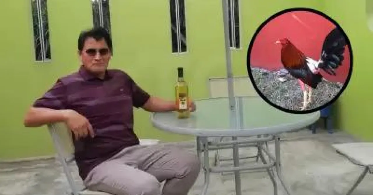Pria Ini Tewas setelah Diserang Ayam