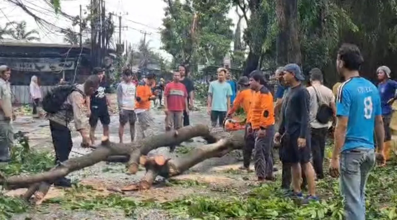 Angin Puting Beliung di Depok: Kios UMKM Porak-poranda, Pohon Tumbang Tutupi Jalan