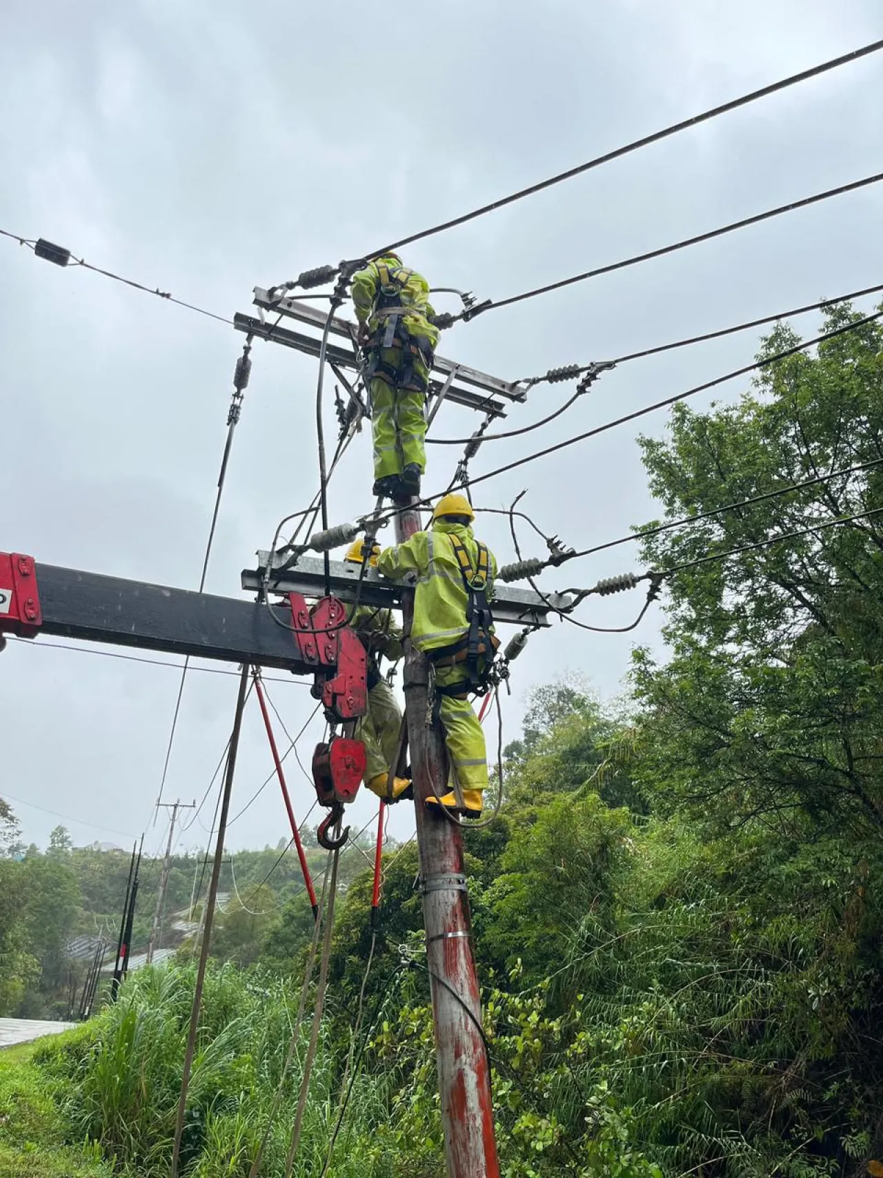 Gubernur Sumbar Apresiasi Kerja PLN Pulihkan Listrik Pascabencana