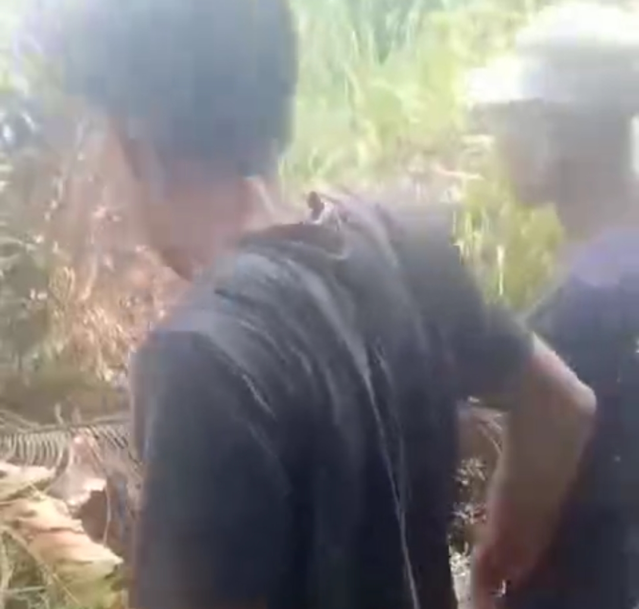 Korban menceritakan kronologinya digigit piton. Foto:Gando