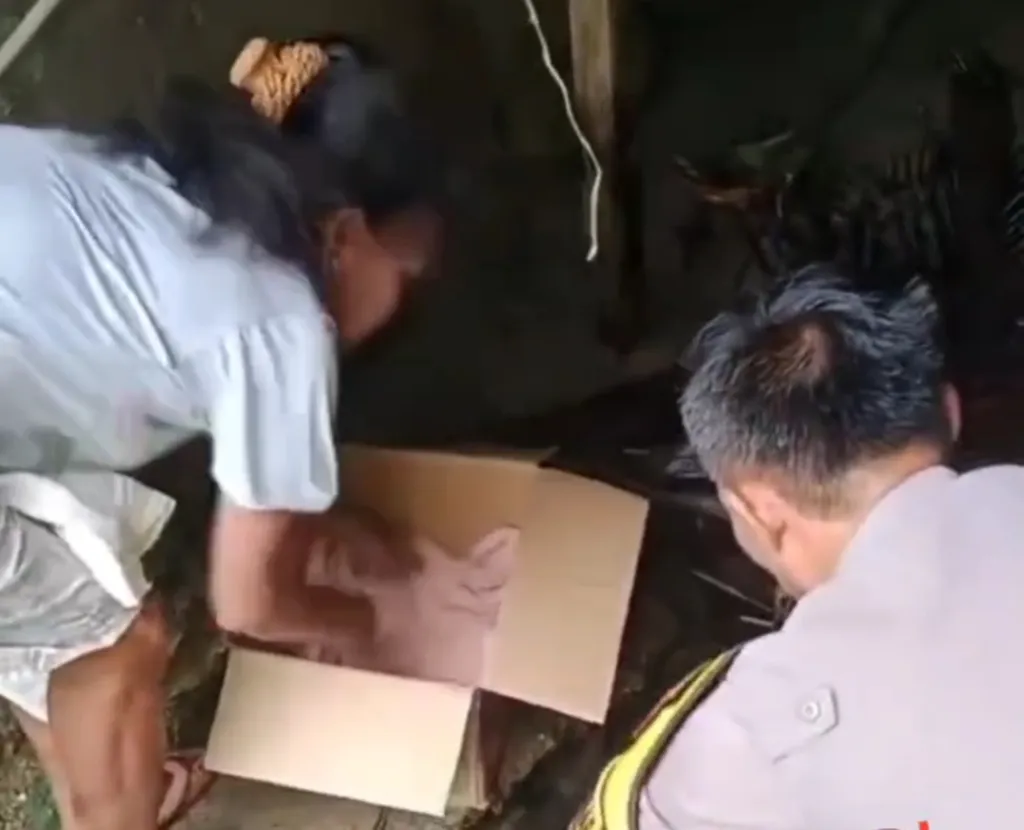 Bayi Perempuan Ditemukan di Bawah Deker Jalan Trans Sulawesi