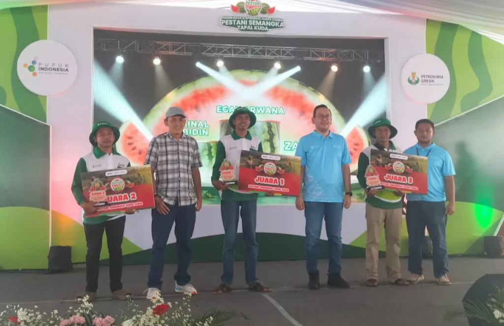 Petrokimia Gresik Pacu Produktivitas Semangka Tapal Kuda di Tengah Cuaca Ekstrem