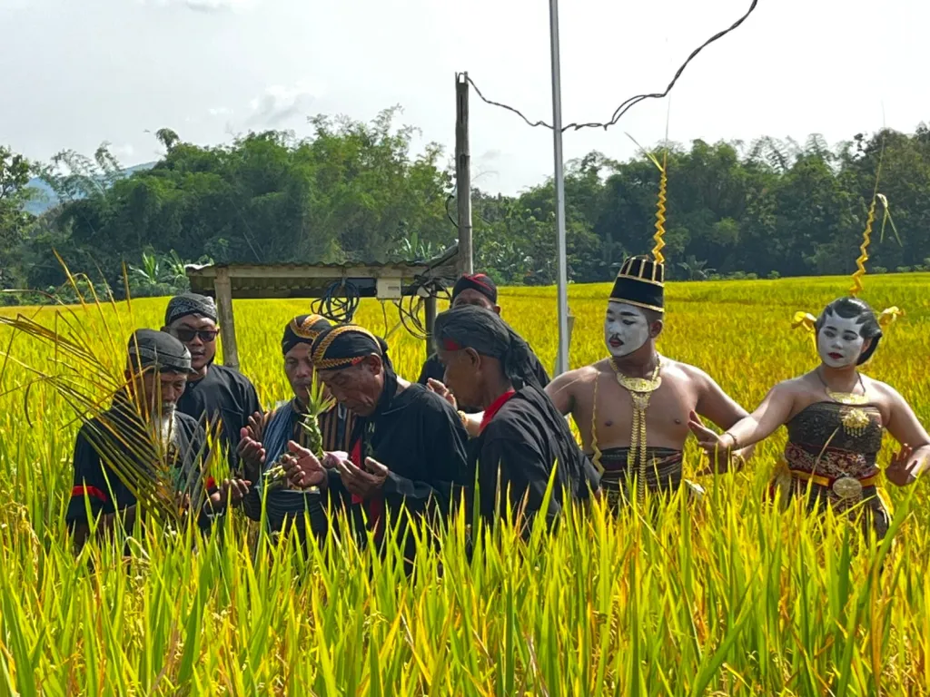 Simbol Ketahanan Pangan Hakiki, 300 Tumpeng Iringi Tradisi Methik Pari Desa Glinggang Ponorogo 
