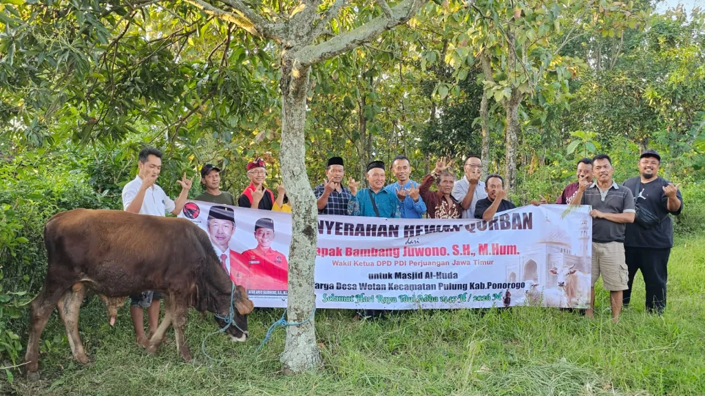 Idul Adha 1447 H: PDI Perjuangan Salurkan Sapi Kurban, Sasar Wilayah Pelosok Ponorogo 