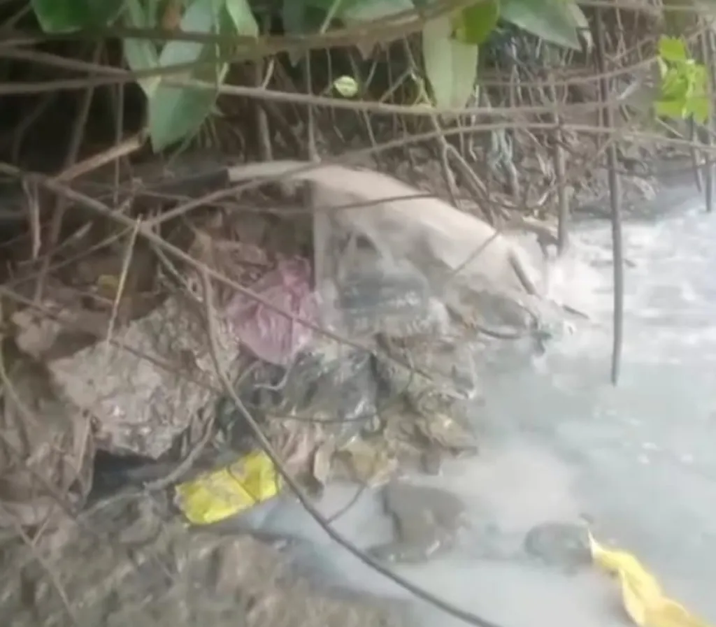 Warga Sedayu Lawas Keluhkan Bau Limbah Pabrik Pengolahan Ikan yang Diduga Dibuang ke Muara Laut