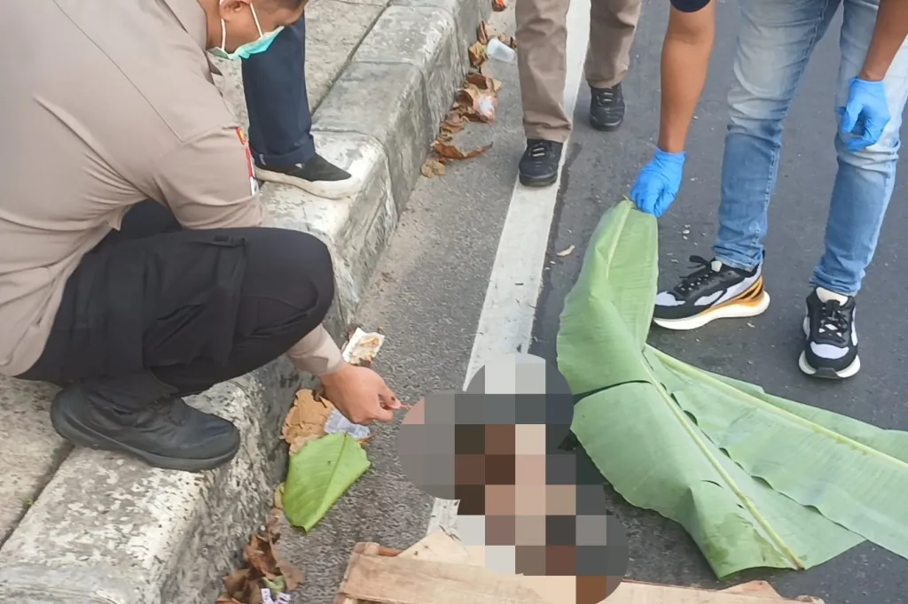 Sempat Bikin Geger, Temuan yang Diduga Jasad Bayi di Flyover Tanah Baru Depok Ternyata Kucing