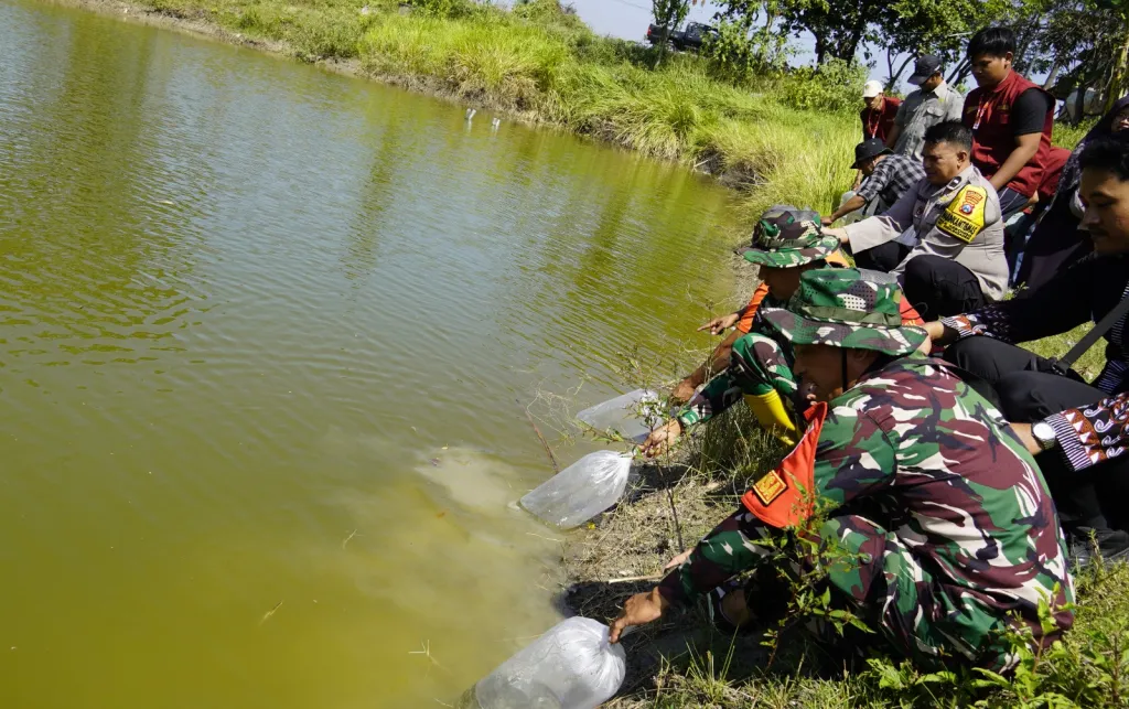Kolaborasi Perkuat Ketahanan Pangan, TMMD 129 Bojonegoro Tabur 11 Ribu Benih Ikan