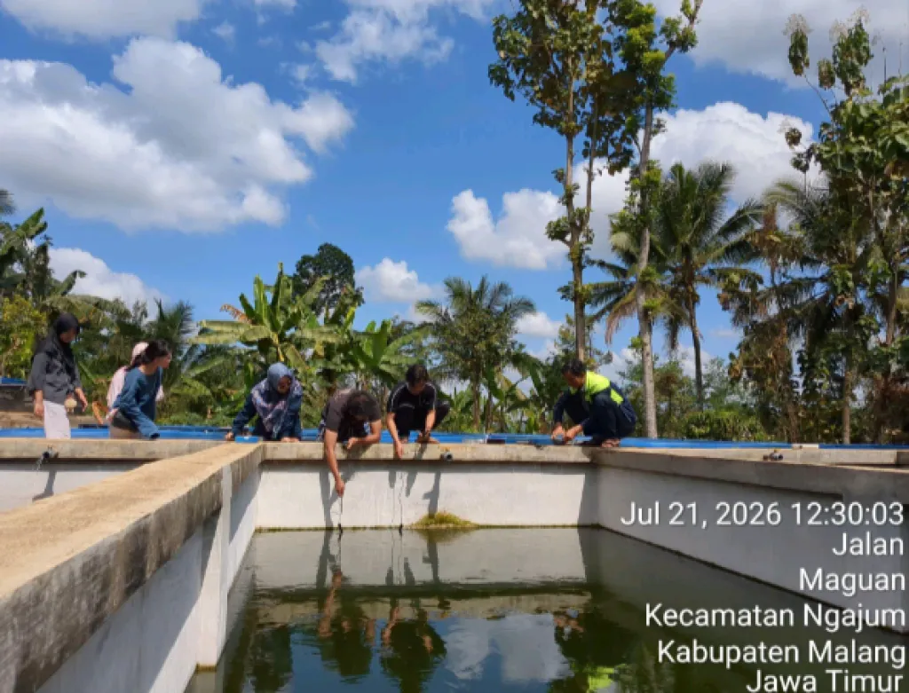 Pengecekan kualitas air kolam.