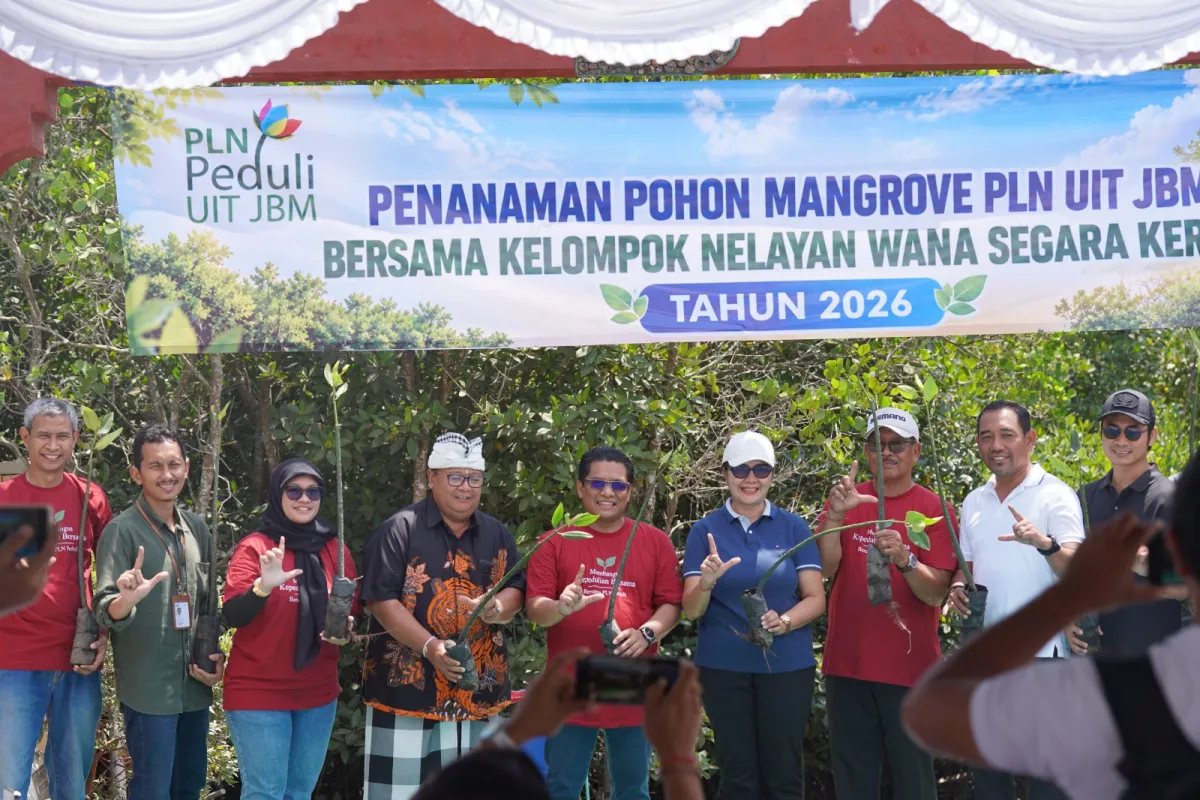 PLN UIT JBM Tanam 16.500 Bibit Mangrove di Bali, Perkuat Komitmen Pelestarian Ekosistem Pesisir