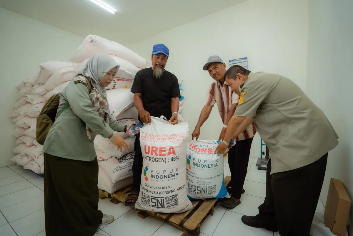 Koperasi Merah Putih Pangkas Jarak Tebus Pupuk, Petani Sidoarjo Bayar Sesuai HET