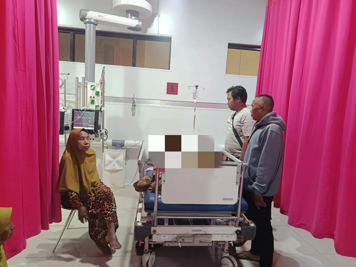 Temui Pria Kenalan Facebook, Perempuan di Jember Ditemukan Pingsan di Hutan Pinus