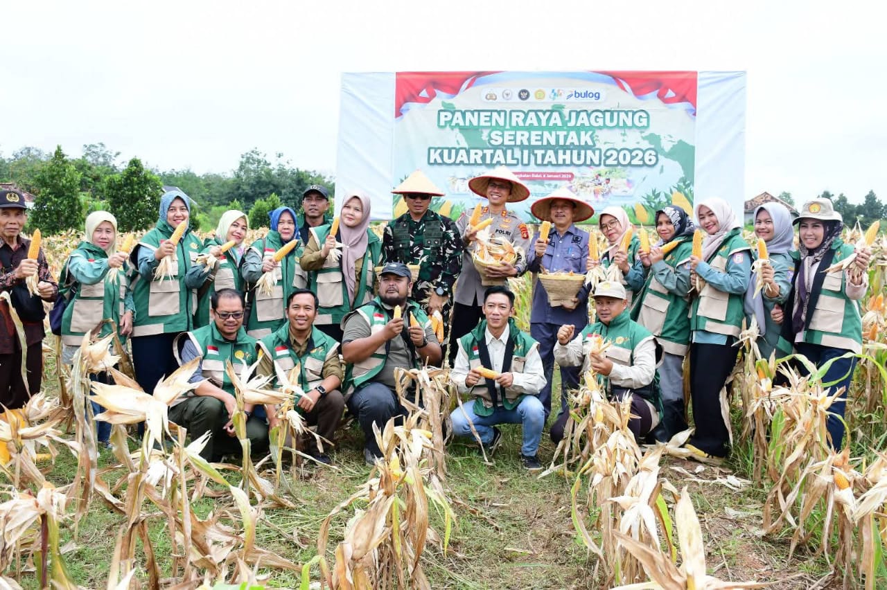 Pemkab Banyuasin dan Polres Banyuasin Panen Raya Jagung Serentak Kuartal I