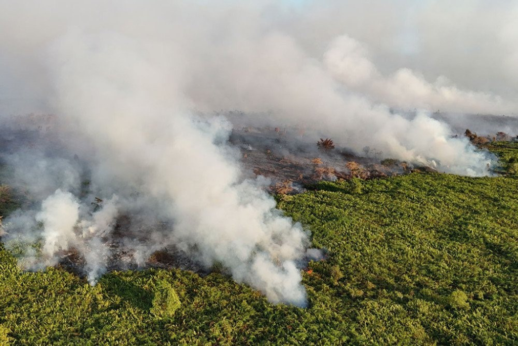 Aceh Barat Darurat Karhutla: 57,7 Hektare Lahan Hangus, Ratusan Warga Terjangkit ISPA
