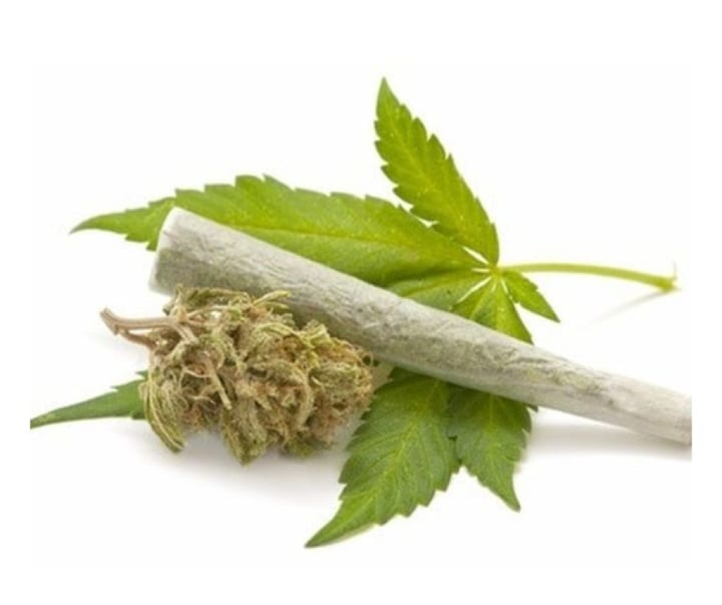 Polda Metro Jaya Amankan Ganja 18 Kg Siap Edar di Kawasan Jakarta Barat 