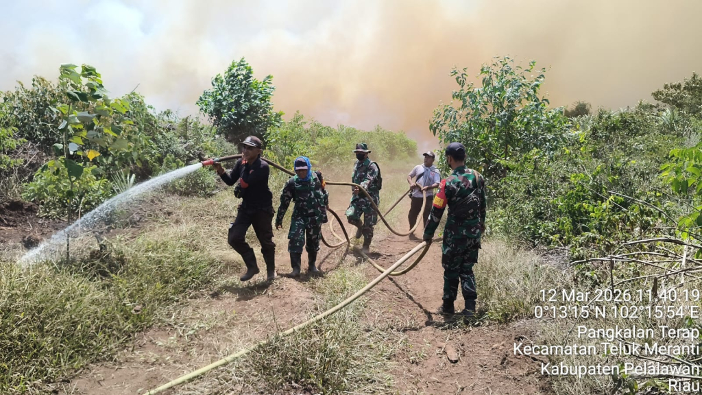 Koramil 03/ Bunut Berjibaku Padamkan Karhutla Dalam Proses Pendinginan