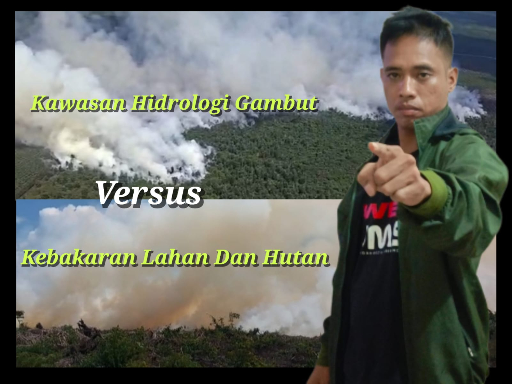 Di Riau, Kawasan Hidrologi Gambut Diduga Telah Dialihfungsikan Jadi Perkebunan Kelapa Sawit