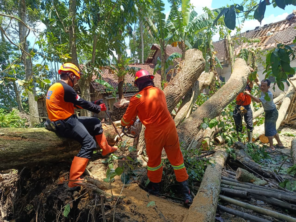 Angin Kencang Terjang Balung, BPBD Jember Gerak Cepat Salurkan Bantuan dan Tangani Dampak