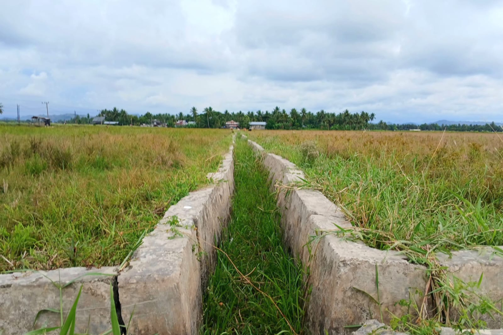 Warga Jangka Desak Pemkab Bireuen Segera Pulihkan Sawah
