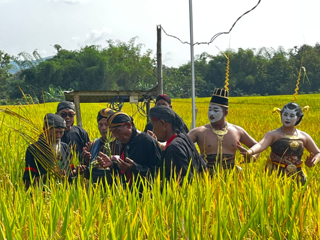 Simbol Ketahanan Pangan Hakiki, 300 Tumpeng Iringi Tradisi Methik Pari Desa Glinggang Ponorogo 