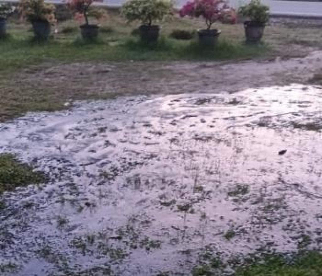 EMP Energi Riau Tangani Rembesan Sisa Minyak dari Kebocoran Pipa Water Injection
