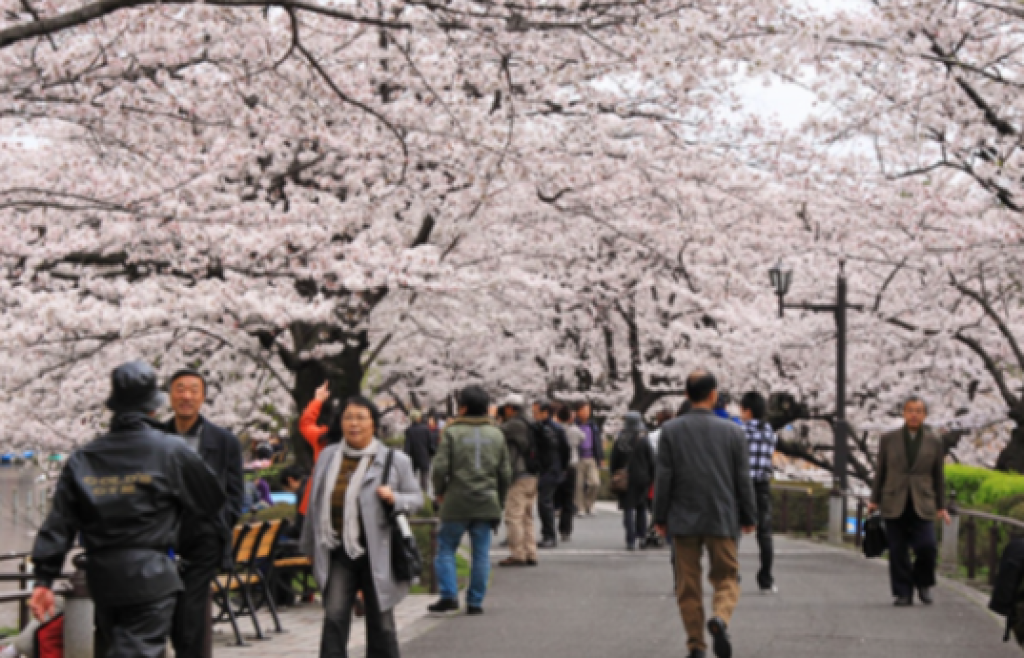 9 Destinasi Wisata Ikonik di Jepang yang Wajib Dikunjungi Traveler Indonesia