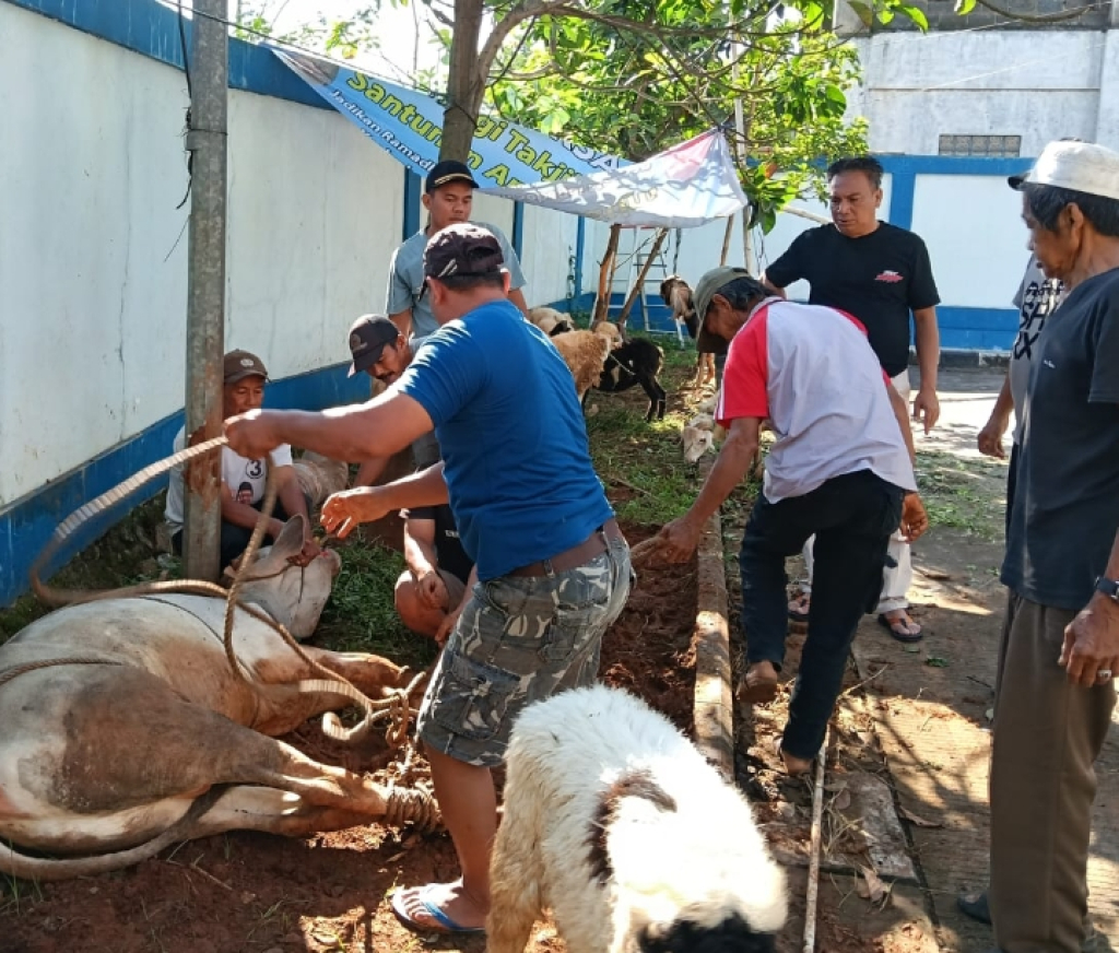 PWI Kabupaten Bogor Sembelih 1 Sapi dan 9 Kambing Kurban di Iduladha 1447 H