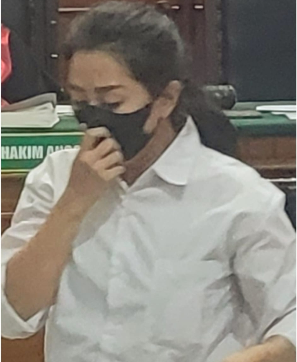 Investasi Bodong Ekspedisi Impor Rp 5,6 M, Dina Marisa Divonis 13 Bulan Penjara