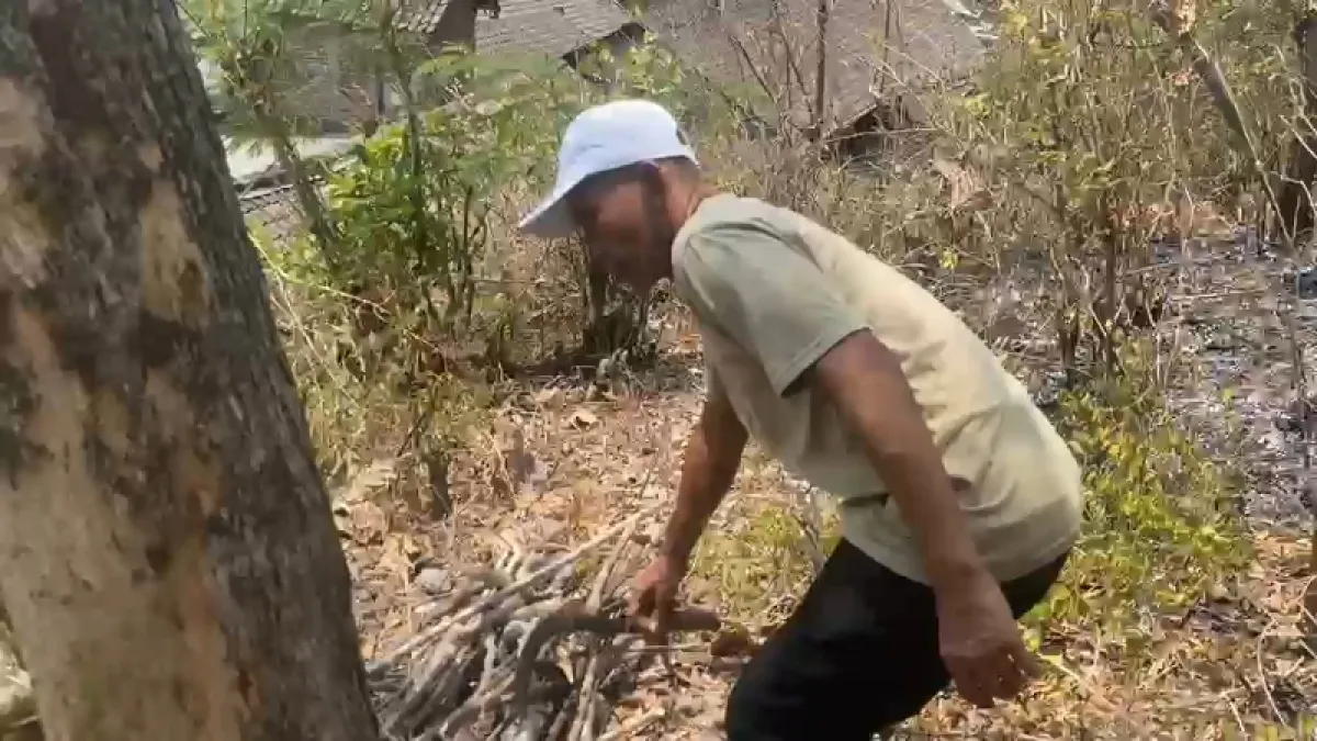 Karhutla di Ponorogo, Nenek 70 Tahun Tewas Terpanggang 