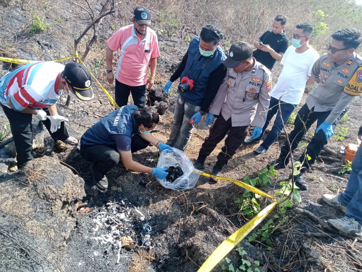 Misteri Kerangka Manusia di Hutan Tenggerejo, Ditemukan di Tengah Lahan Tebu Bekas Terbakar