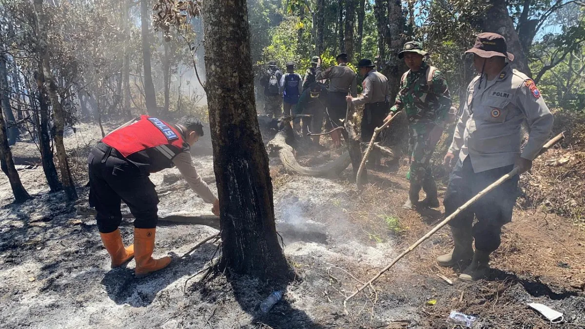 Gunung Buthak Terbakar, Petugas Berjibaku Padamkan Api di Medan Terjal